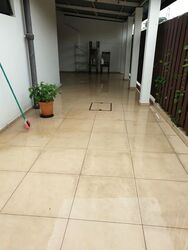 Fuyong Estate (D23), Semi-Detached #581233721